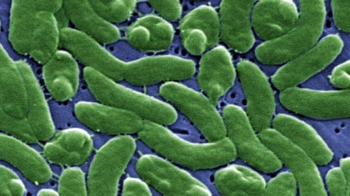Man dies 4 days after flesh-eating bacteria infection 